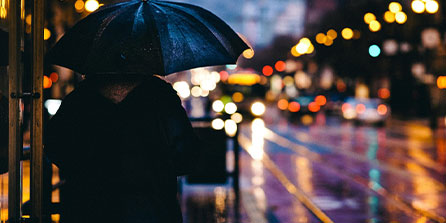 要回CBA打球吗？冯莱：辽宁队对此非常感兴趣